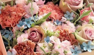 如何使鲜花保鲜持久 鲜花怎么制作成干花