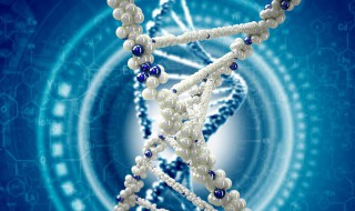 DNA的概念是什么 DNA的简介