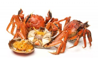 吃螃蟹能吃西红柿吗 吃螃蟹能不能吃西红柿