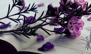 不可抗力因素是什么意思 不可抗力因素解释