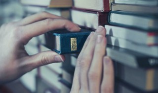 鼓励人读书最经典的诗句 鼓励人读书最经典的诗句精选