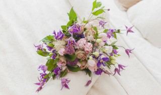 花店鲜花保鲜方法 如何给鲜花保鲜