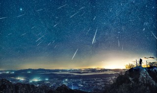 愿望的实现主要内容 愿望的实现主要内容介绍