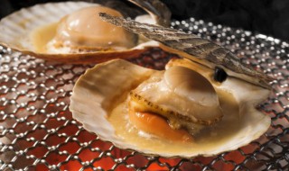 贝壳买回来如何清洗 怎么清洗贝壳