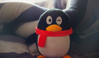 qq支付密码忘了怎么办 qq支付密码忘了的方法