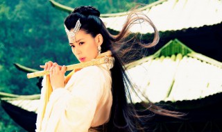 灵珠剧情介绍 灵珠剧情介绍内容