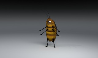 蟑螂会飞是什么情况 蟑螂什么情况下会飞