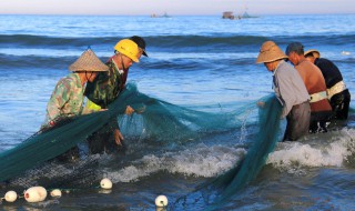 渔网是什么原理捕鱼 渔网捕鱼的原理是什么