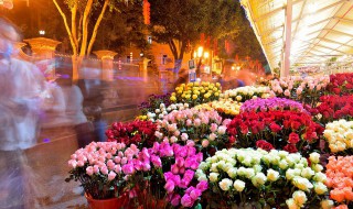 异地城市怎么订花 异地城市如何订花