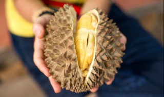 没剥开的榴莲怎么保存 没剥开的榴莲保存方法