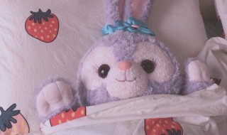 星黛露是什么 星黛露介绍