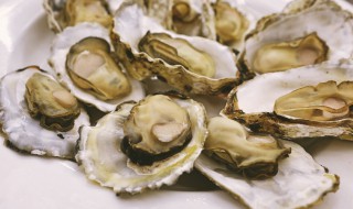 海蛎子储存方法 海蛎子怎么保存