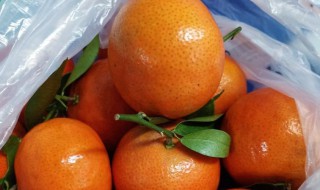 橘子里面有白色的点点是什么 橘子里面有白色的点点介绍