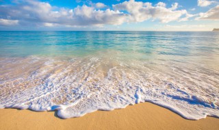 保护海洋的方法10条 如何保护海洋