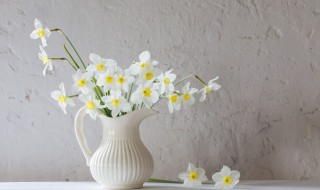 道歉用什么花 道歉送的花