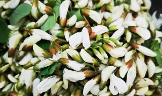 槐花怎么冷冻储藏 槐花的冷冻储藏方法