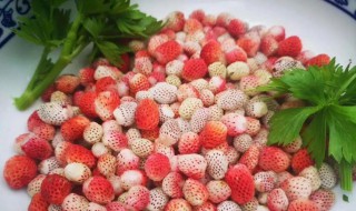 萢是什么水果 萢的简介