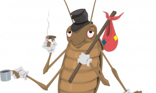 杀虫剂喷蟑螂是死了还是晕了 杀虫剂喷的使用方法和注意事项