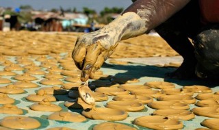 非洲西玛用什么做的 非洲西玛做法