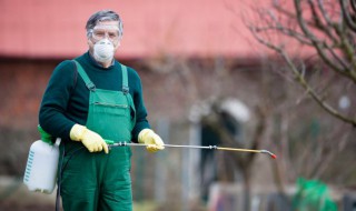 家里到处都是粉螨怎么办 家里到处都是粉螨如何去除