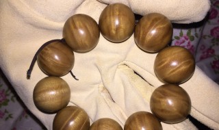 南木是什么 南木介绍