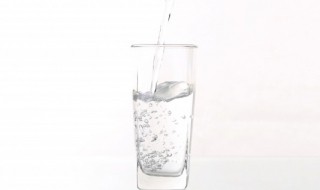 杯子底部有bpafree什么意思 杯子底部有bpafree的解释