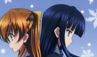 表番是指什么 表番简介