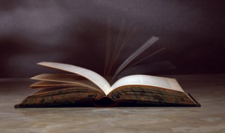 脱胎换骨的意思是什么 脱胎换骨的意思