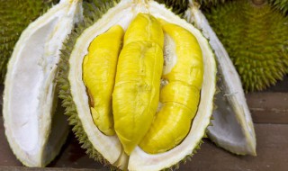 榴莲壳回收了有什么用 榴莲壳有什么用