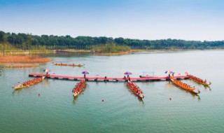 端午香包里的香料是什么 端午香包里的香料有哪些