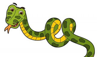 做梦梦到被蛇咬是什么意思 做梦梦到被蛇咬意思是什么