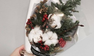 送棉花花束什么意思 送棉花花束意思是什么