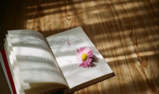 兼并是什么意思 兼并的解释