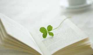 触媒是什么意思 触媒的意思