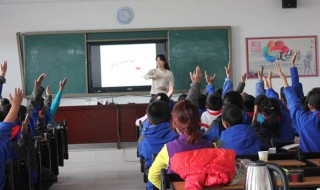 画眉鸟古诗的意思 画眉鸟译文和原文