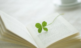 苔古诗的意思 苔古诗的全文