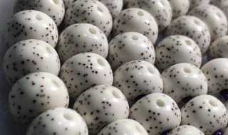 菩提寓意什么意思 菩提的寓意是什么