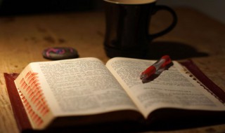 杨本芬作品 杨本芬作品介绍