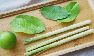 香茅是什么味道 香茅是什么植物