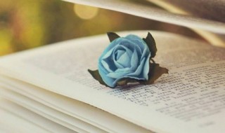 乍暖还寒是什么意思 乍暖还寒的意思是什么