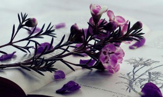 如何培养家国情怀 培养家国情怀方法