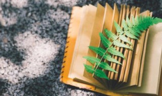 风风火火是什么意思 风风火火的解释