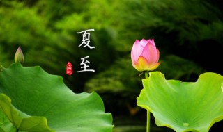 将至已至的意思是什么 将至已至是什么意思