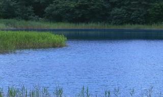 湖的量词是什么 量词是什么呢