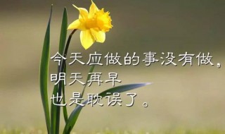 劳动正能量的句子 劳动正能量的短语有哪些