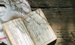 关于鸟的诗句有哪些 关于鸟的诗句介绍