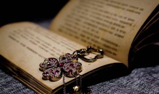 空中楼阁什么意思 空中楼阁的意思