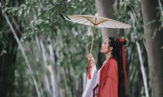 写雨的诗句有哪些 描写雨的诗句介绍