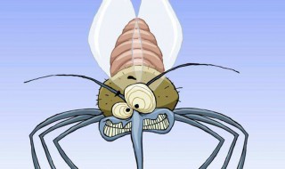 蚊子喜欢什么血型? 蚊子喜欢咬什么人