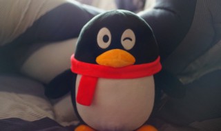 怎么打开qq邮箱 打开qq邮箱的方法